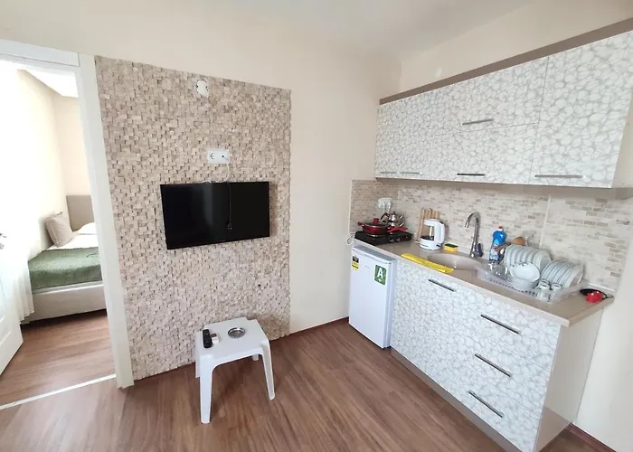 Karina Butik Apart Aparthotel Didim